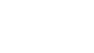 BlackVue-White