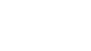Firstech-White