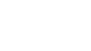 Pioneer-White